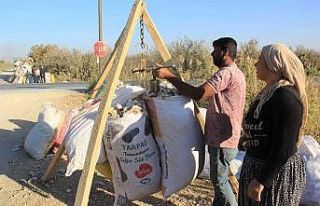 Kalıntı pamuklar ekonomiye kazandırılıyor