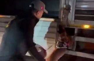 Kamyonun gizli bölmesinde 30 kilo uyuşturucu ele...