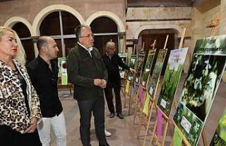 ‘Kapadokya bitkileri’ sergisi açıldı