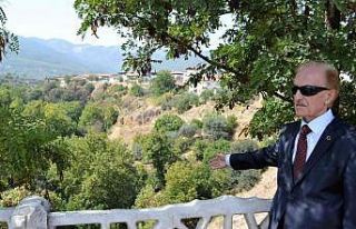 Karacasu bir çınarını daha kaybetti