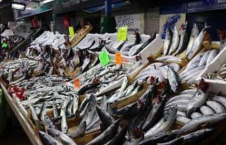 Karadeniz hamsisi tezgahlarda yerini almayı bekliyor