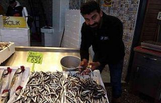 Karadeniz hamsisi tezgâhlarda yerini aldı