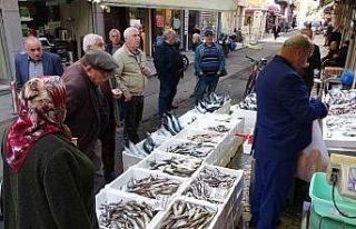 Karadeniz’de palamut bolluğu: Balıkçılarda kuyruk