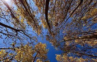 Karasu Çayı doğal güzelliyle renk cümbüşü...