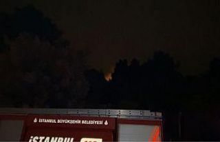 Kartal Aydos Ormanı’nda çıkan yangın söndürüldü