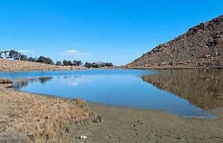 Kartal Gölündeki detay Beşiktaşları sevindirecek