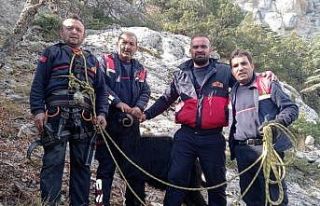 Kayalıklarda mahsur kalan 7 keçi kurtarıldı