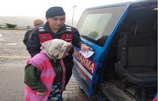 Kaybolan yaşlı kadını jandarma ve AFAD ekipleri...