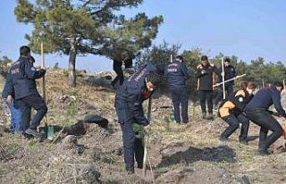 Kayseri Büyükşehir, 11.11’de 5 bin fidan ile...