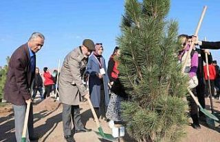 Kayseri’nin Denizi Kuşçu’da, ağaç dikme etkinliği...