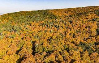 Kazdağları’nın eşsiz sonbahar güzellikleri...