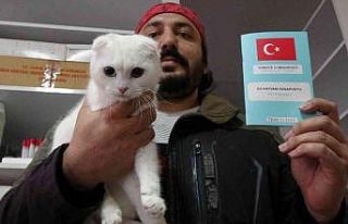 Kedi ve köpek sahipleri dikkat, yasal süre 31 Aralık’ta...