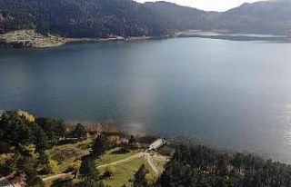 Kilometrelerce öteden gelerek sonbaharı Abant’ta...