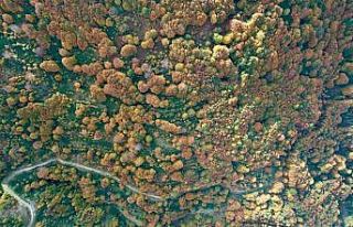 Kocaeli’de eşsiz sonbahar güzelliği