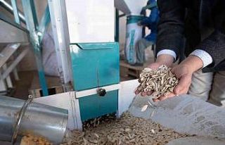 Konya Büyükşehir’den Çumra’daki kabak çekirdeği...