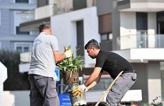 Konyaaltı’nda kış hazırlıkları