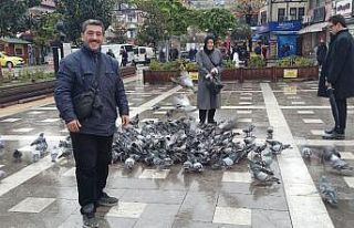 Köpek hasta güvercinin başında bekledi