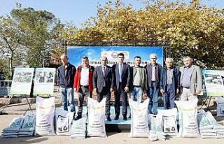 Körfezli çiftçilere 37 ton tohum dağıtıldı