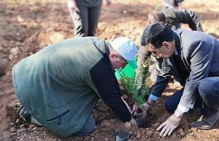Köyceğiz’de Milli Ağaçlandırma Günü nedeniyle...