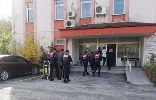 Köydeki vatandaşların fındık ve cevizlerini çalan...