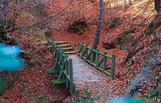 Küçükelmalı Tabiat Parkı’nda kartpostallık...