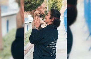 Kuşadası’ndaki hayvan rehabilitasyon merkezi internetten...