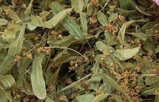 Kütahya’da aktarlara ilgi arttı