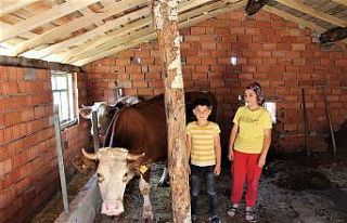 Kütahya’da orman köylüsüne 14 milyon TL kredi...