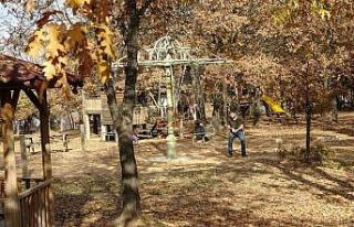 Kütahya’da sonbahar güzelliği