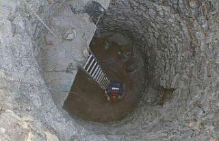 Kuyuya düşen köpeği AFAD kurtardı