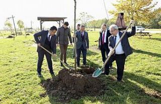 Maden şehitleri anısına fidan dikildi