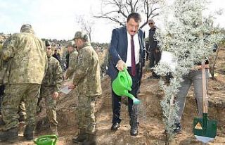 Malatya’da Türkiye Yüzyılına Nefes için fidan...