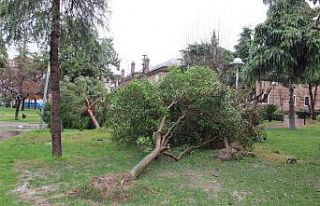 Manisa’ya fırtına uyarısı