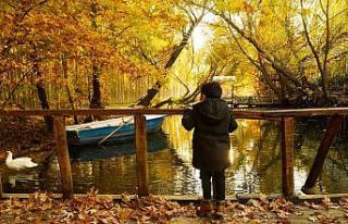 Mardin’de sonbahar görsel şöleni