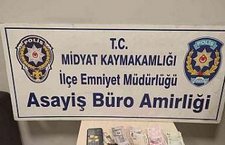 Mardin’de suç kaydı kabarık iki şüpheliden...