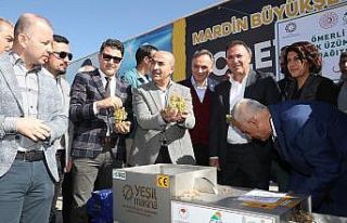 Mardin’de üreticilere yüzde 85 hibe ile üzüm...