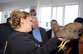 Menteşe’de kümes hayvanları gösterisi