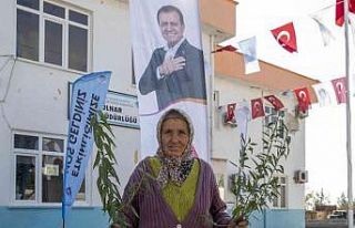 Mersin Büyükşehir Belediyesinden üreticiye fidan...