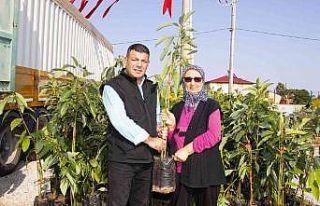 Mersin’de avokado fidanı dağıtımının ikinci...