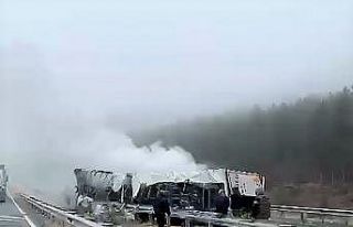 Meyve, sebze yüklü tır alevlere teslim oldu