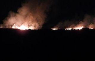 Milleyha Kuş Cenneti’nde yangın çıktı