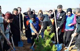 Milli Ağaçlandırma Günü’nde toprak fidanlarla...