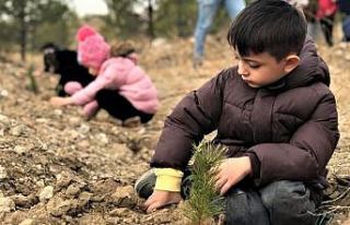 Minik eller fidanları toprakla buluşturuyor