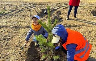 Minikler fidan dikerek doğaya nefes oldu
