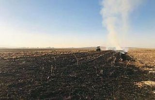 Mısır tarlasında anız yakan şahsa yasal işlem...