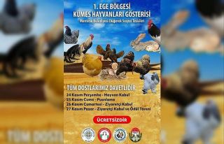 Muğla’da birbirinden çeşit süs hayvanları kıyasıya...