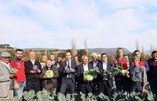 Muğla’da kışlık sebze üretimi projesinde hasat...