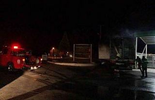 Muğla’da yunus timlerinin dikkati sayesinde faciadan...