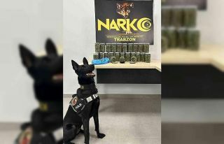 Narkotik köpeği ’İda’ iş başında
