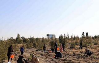 NEÜ Köyceğiz Yerleşkesinde fidanlar toprakla buluştu